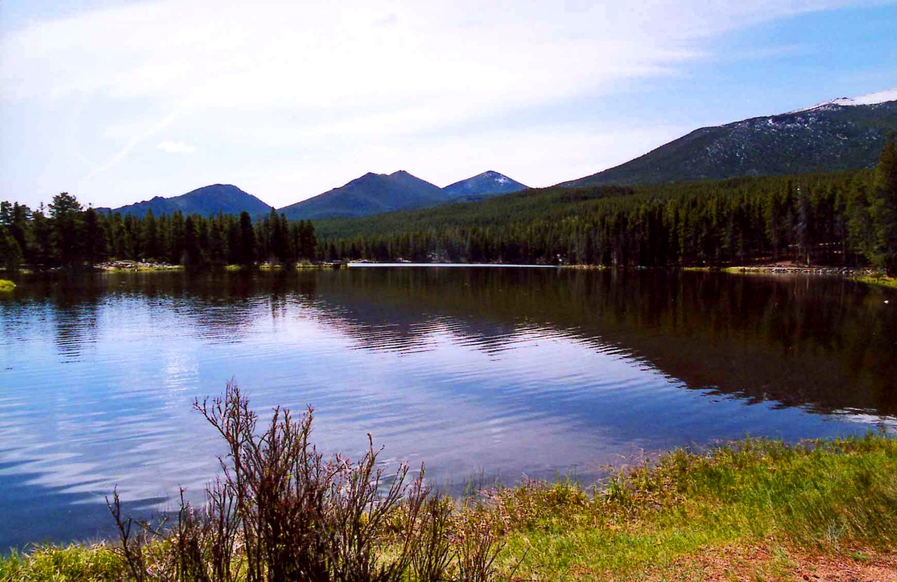 pond.jpg