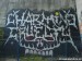 graffiti-kolin-spray-sprejerstvi-12.jpg